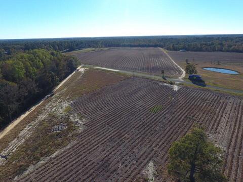 2285 Landsdowne Rd, Bowman, SC 29018 photo 1