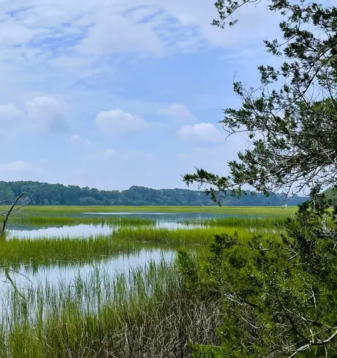 lot D-2 7743 Toogoodoo Rd, Meggett, SC 29449