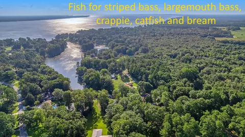 View/Area - 106 Broad River Dr, Santee, SC 29142 photo 8 of 19