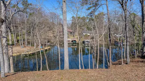 View/Area - 106 Broad River Dr, Santee, SC 29142 photo 18 of 19