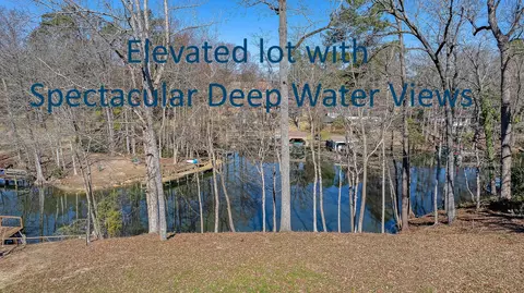 View/Area - 106 Broad River Dr, Santee, SC 29142 photo 4 of 19