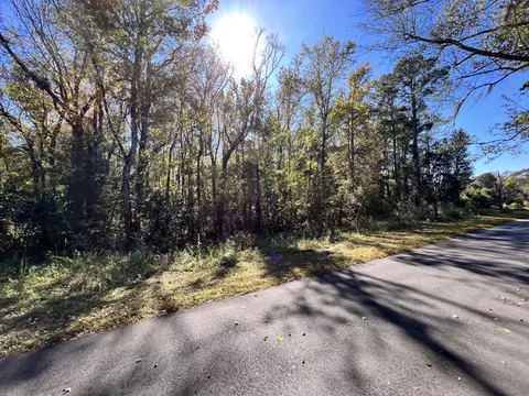 00 Shoofly Road Rd, Ridgeville, SC 29472