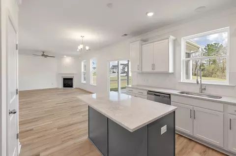 Kitchen - 320 Blue Oak Dr, Moncks Corner, SC 29461 photo 3 of 4