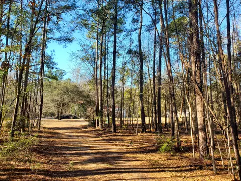 7085 Inman Rd, Meggett, SC 29449