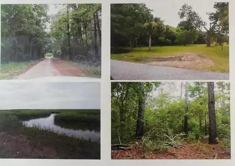 0 Gadsdenville Rd, Mount Pleasant, SC 29429