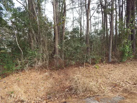 0 Dennis Dr #LOT 25, Goose Creek, SC 29445