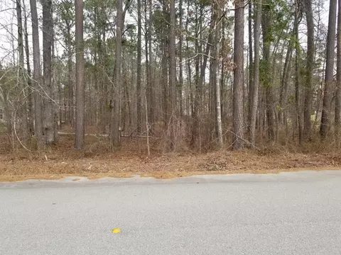 0 Sorin Cir, Elloree, SC 29047