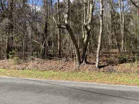 5037 Doctor Taylor Rd, Adams Run, SC 29426