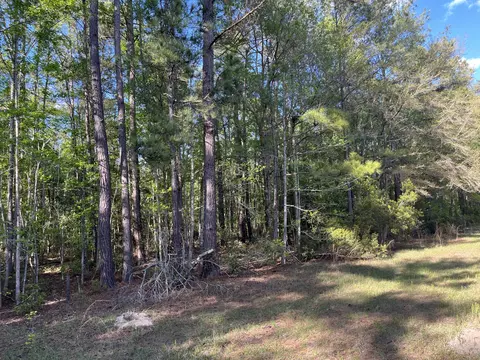 0 Rentz Dr, Walterboro, SC 29488