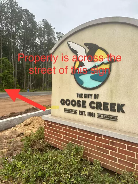 0 Highway 176, Moncks Corner, SC 29461 photo 2