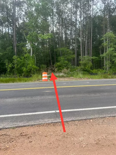 0 Highway 176, Moncks Corner, SC 29461 photo 3