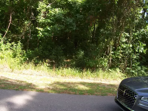 1310 Fifteen Mile Landing Rd, Awendaw, SC 29429