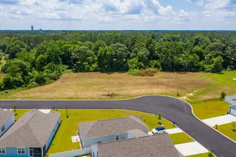 0 William Clark Blvd, Santee, SC 29142 photo 12