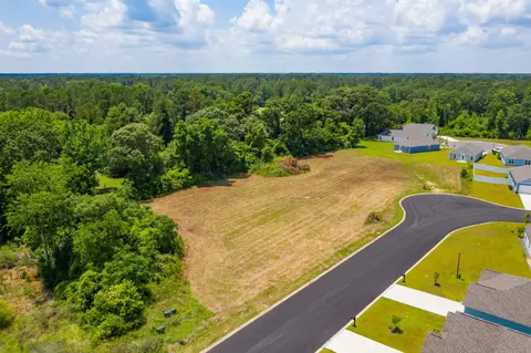 0 William Clark Blvd, Santee, SC 29142 photo 11