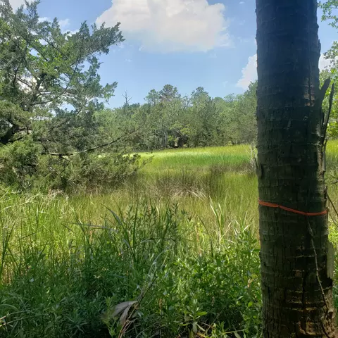 723 Jan Savage Way #LOT EDISTO, Island, SC 29438