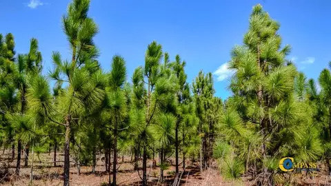 5659 State Rd S-28-31, Jefferson, SC 29718