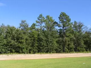 0 Shore Dr #LOT 36, Orangeburg, SC 29118