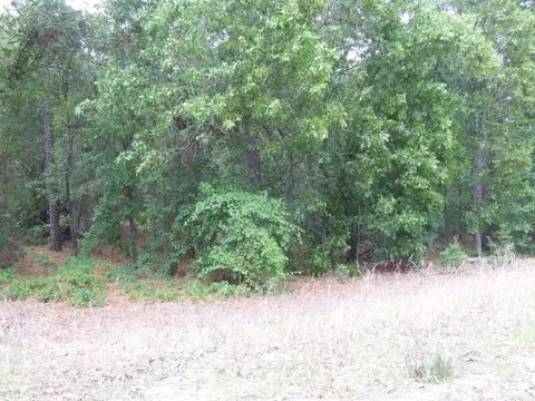 1412 Old State Rd, Gaston, SC 29053