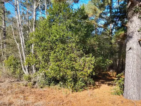 0 Paddock Bnd, Aiken, SC 29803 photo 6