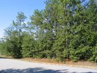 0 Shore Dr #LOT 30, Orangeburg, SC 29118