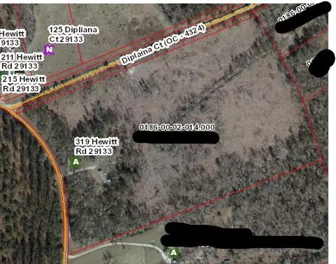 319 Hewitt Rd, Rowesville, SC 29133