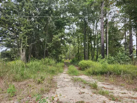 0 Spring Dell Way, Saint Stephen, SC 29479