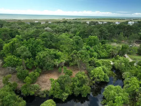 697 Jan Savage Way #LOT EDISTO, Island, SC 29438