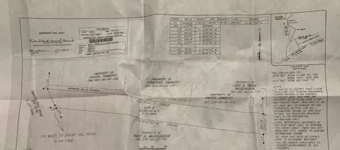 0 Mauss Hill Rd, Adams Run, SC 29426