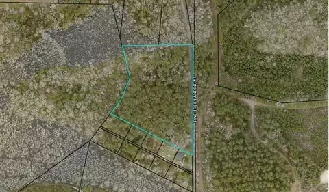 0 Pine Tree Landing Rd, Andrews, SC 29510