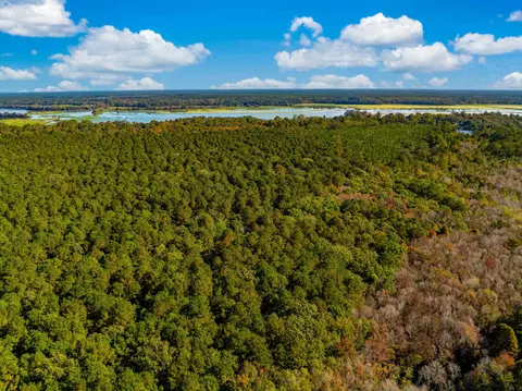 0 Point Comfort, Moncks Corner, SC 29461 photo 17
