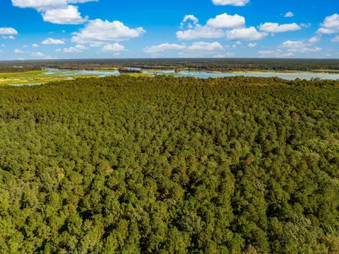 0 Point Comfort, Moncks Corner, SC 29461 photo 18