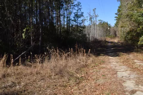 0 Black Tom Rd, Moncks Corner, SC 29461