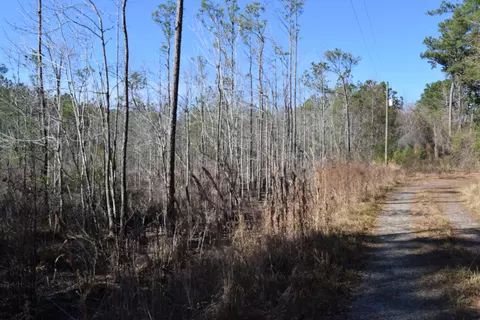 0 Black Tom Rd, Moncks Corner, SC 29461 photo 4