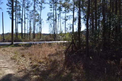 0 Black Tom Rd, Moncks Corner, SC 29461 photo 3