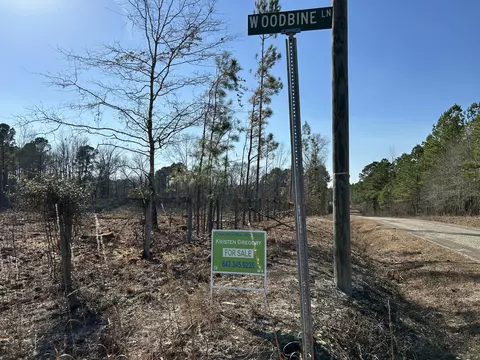 50 Acres Bridlewood Rd, Cheraw, SC 29520