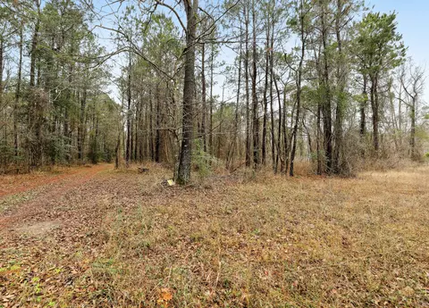 0 Santee River Rd, Saint Stephen, SC 29479 photo 4