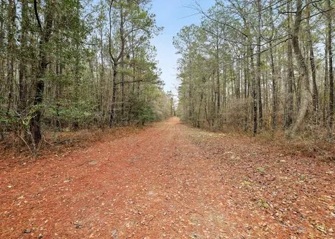 0 Santee River Rd, Saint Stephen, SC 29479 photo 5