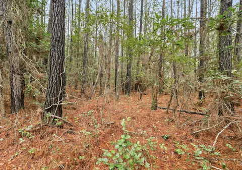 0 Santee River Rd, Saint Stephen, SC 29479 photo 8