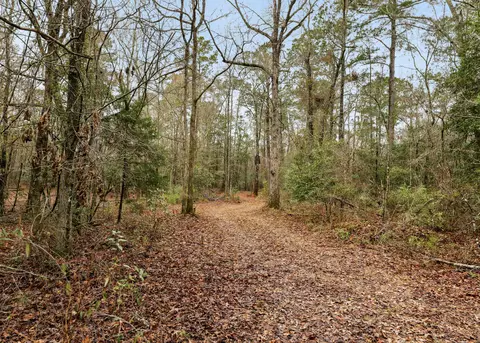 0 Santee River Rd, Saint Stephen, SC 29479