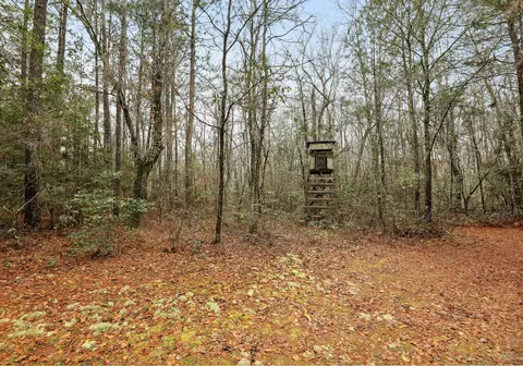 0 Santee River Rd, Saint Stephen, SC 29479 photo 6