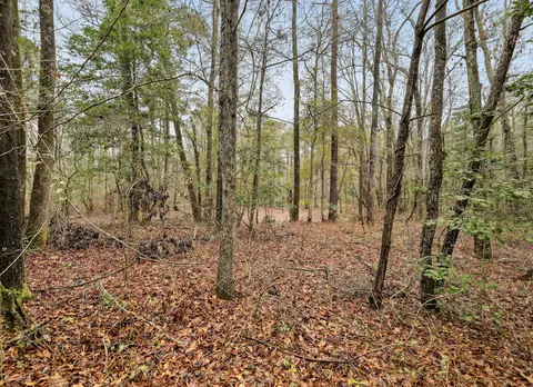 0 Santee River Rd, Saint Stephen, SC 29479 photo 7