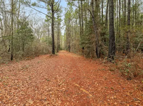0 Santee River Rd, Saint Stephen, SC 29479 photo 10