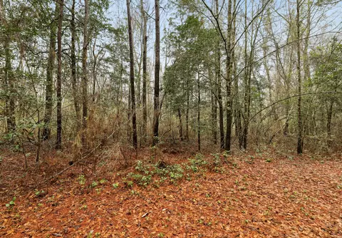 0 Santee River Rd, Saint Stephen, SC 29479 photo 9
