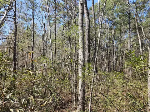 0 Brock St, Georgetown, SC 29440 photo 3