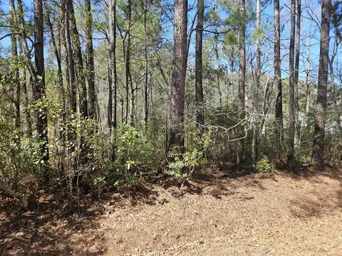 0 Brock St, Georgetown, SC 29440 photo 4