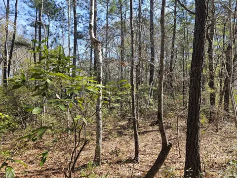 0 Brock St, Georgetown, SC 29440 photo 2