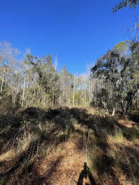 00 N Highway 17, Mcclellanville, SC 29458 photo 19