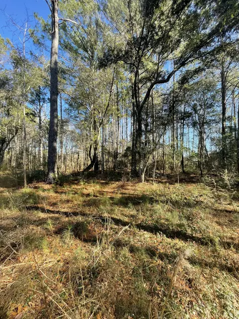 00 N Highway 17, Mcclellanville, SC 29458 photo 24