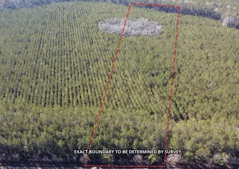 0 Red Oak, Cottageville, SC 29435