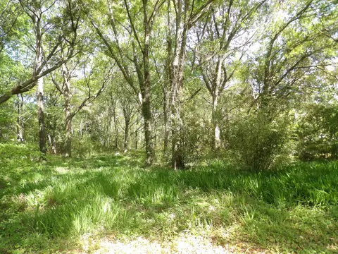 1558 Scott Hill Rd, Charleston, SC 29412